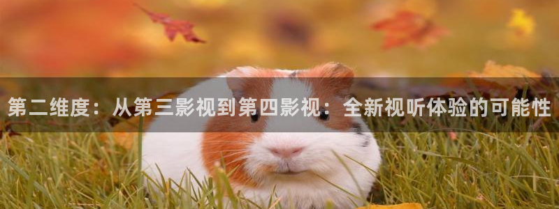 好似天堂秋霞影院