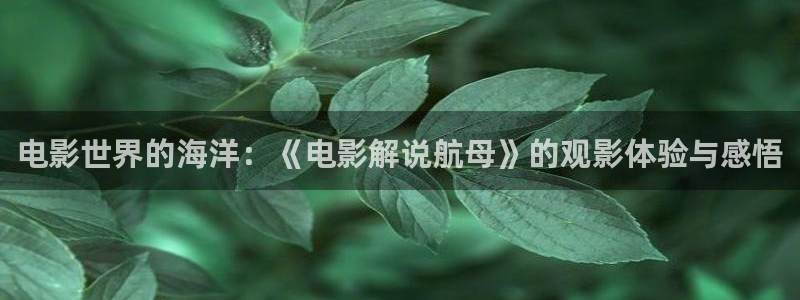 秋霞限制电影