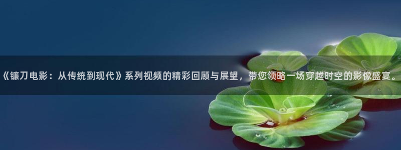 秋霞电影网午夜免费一区