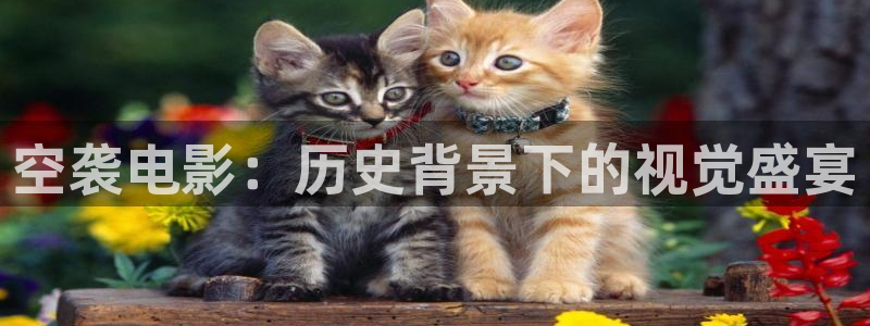 秋霞电影现场直播