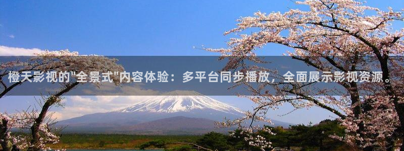 秋霞成人伦理影院