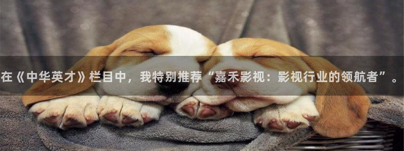 秋霞视频网