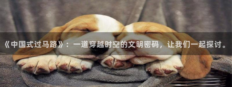 秋霞电锂网