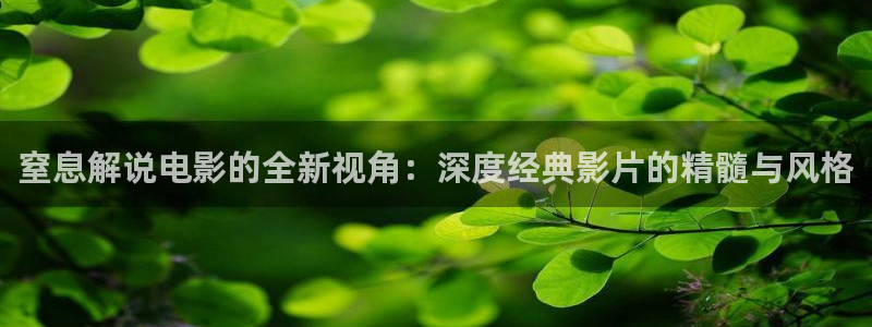 秋霞官网伦理片
