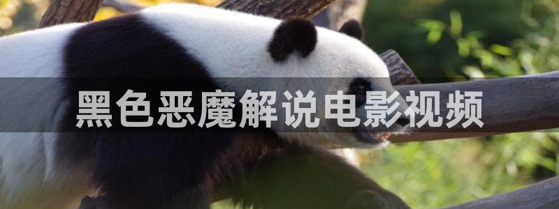 秋霞欧美网