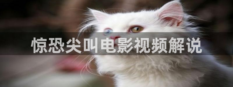 秋霞影视星辰影院