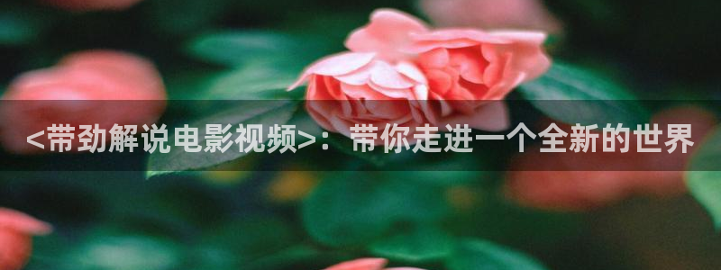 秋霞电影网在线理论：<带劲解说电影视频>：带你走进一个全新的世界