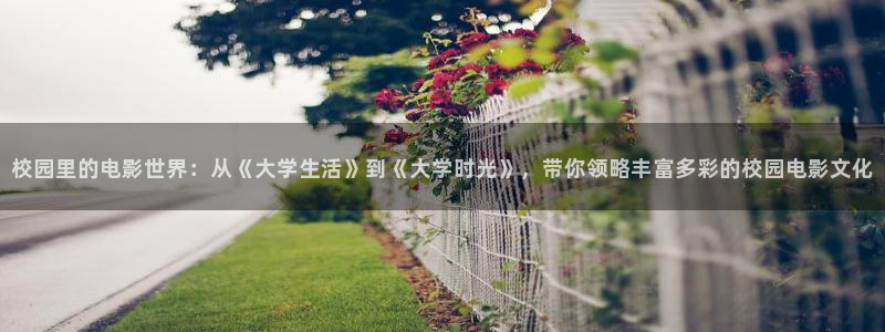 秋霞电影资源在线观看：校园里的电影世界：从《大学生活》到《大学时光》，带你领略丰富多彩的校园电影文化