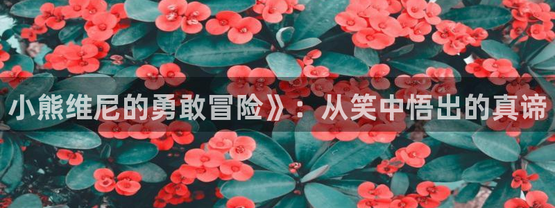 秋霞在线看片：小熊维尼的勇敢冒险》：从笑中悟出的真谛