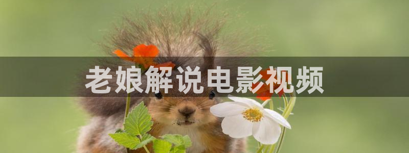 秋霞电影撸丝：老娘解说电影视频