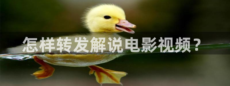 电影大全秋霞电影网：怎样转发解说电影视频？