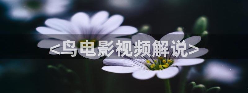 秋霞视频电影网