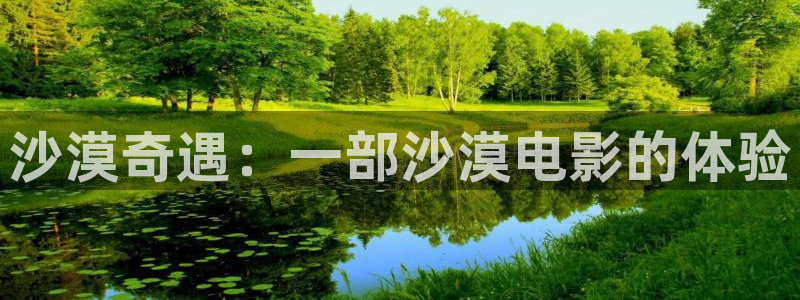 秋霞电影网站入口：沙漠奇遇：一部沙漠电影的体验
