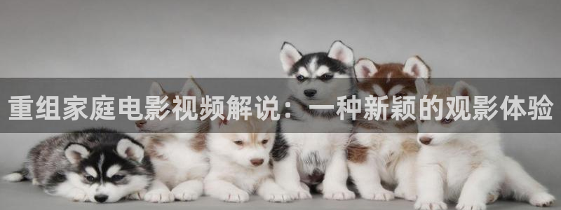 秋霞电影樱花动漫：重组家庭电影视频解说：一种新颖的观影体验