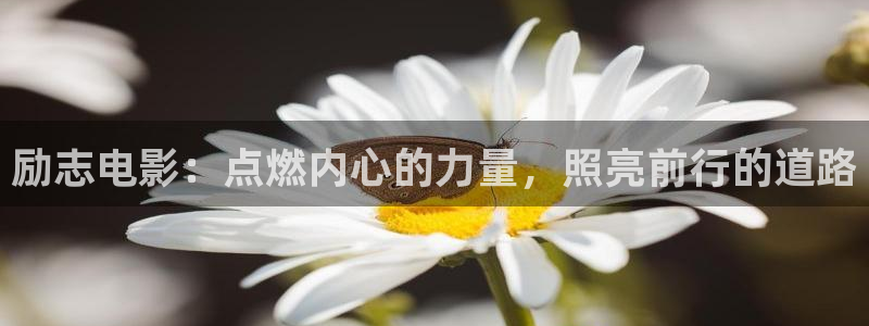 神马特片光棍秋霞被窝影院：励志电影：点燃内心的力量，照亮前行的道路