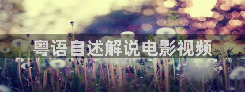 秋霞在线观看视频：粤语自述解说电影视频
