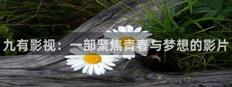 秋霞电影天堂网：九有影视：一部聚焦青春与梦想的影片