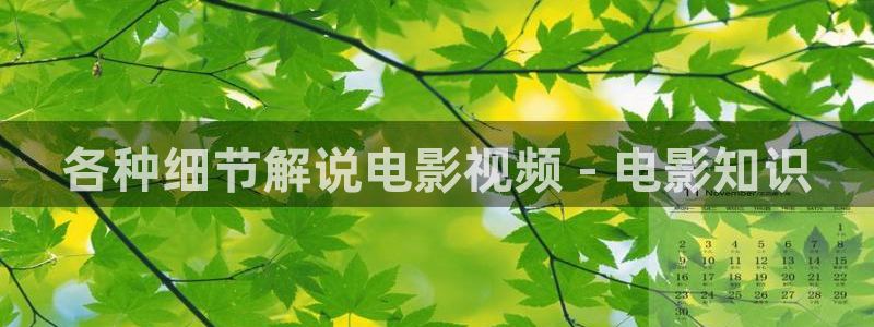 秋霞电影网鲁斯片：各种细节解说电影视频 - 电影知识