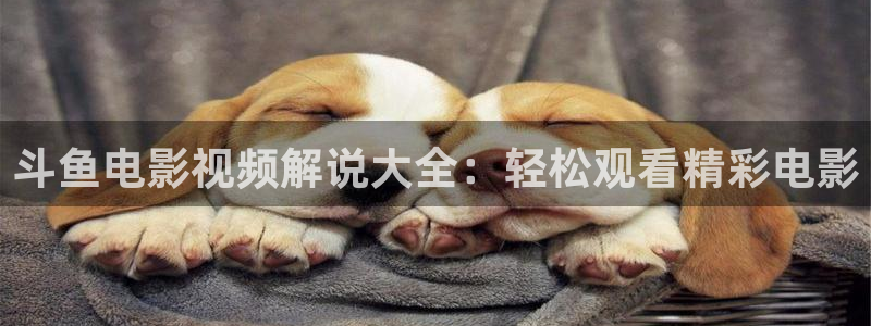 秋霞电影网新网址神马：斗鱼电影视频解说大全：轻松观看精彩电影