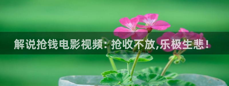 秋霞视频高清在线观看：解说抢钱电影视频: 抢收不放,乐极生悲！