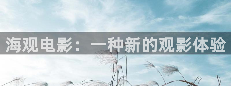秋霞黄色网战