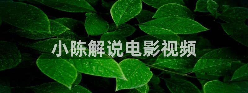 秋霞网络
