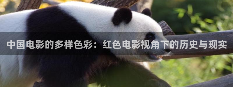 秋霞乱轮电影
