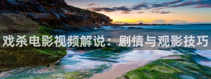 秋霞网电影在线观看