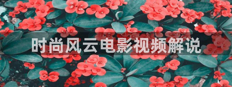 秋霞电影网天堂