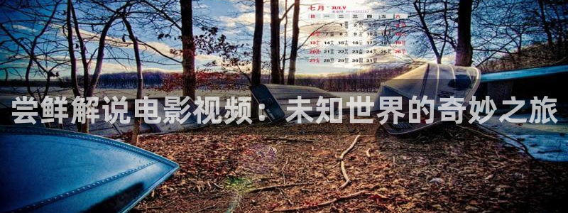 秋霞电影新网址