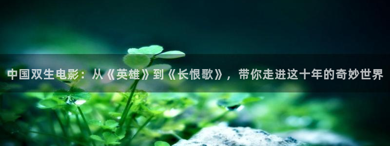 秋霞网在线视频观看