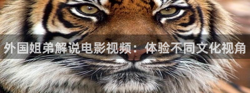 伦理片在线秋霞