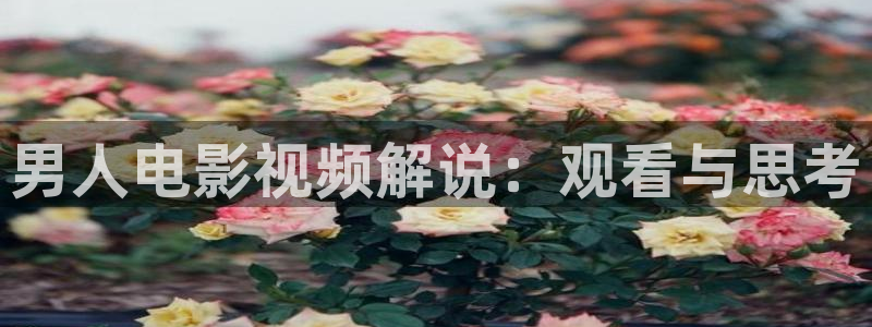 秋霞影音网站
