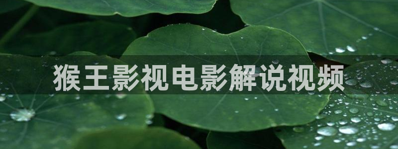 秋霞电影网影视先锋