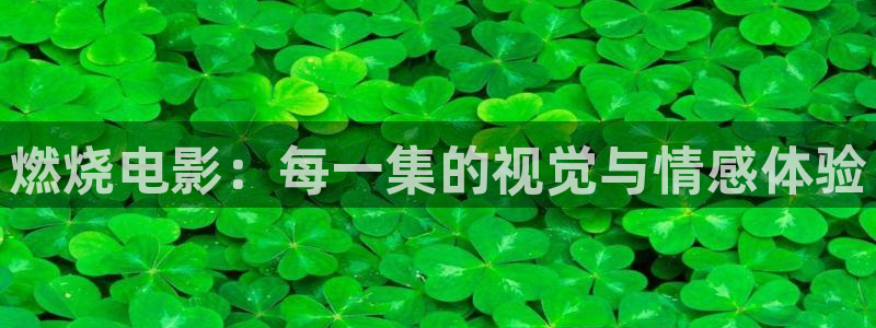 秋霞电影..