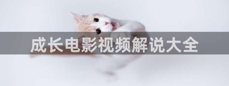 秋霞影院撸丝片