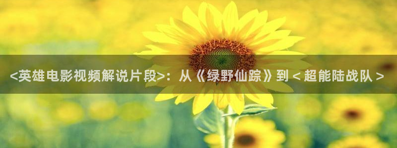 秋霞一级网站