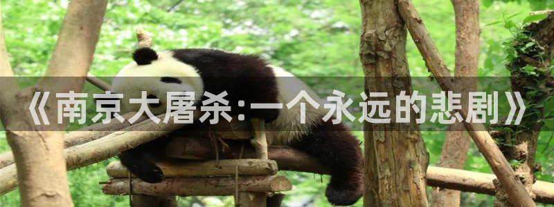 秋霞网手机在线