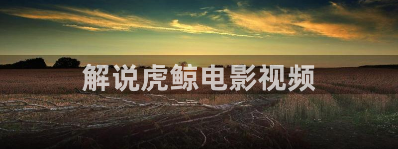 秋霞手机版电影