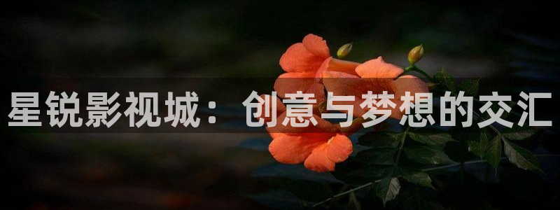 秋霞大片