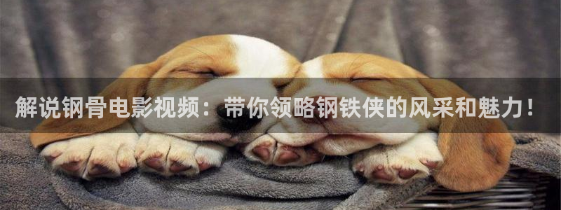 秋霞在线观看视频在线